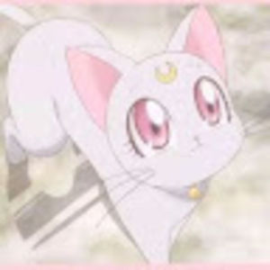 Meet your Posher, Maeve